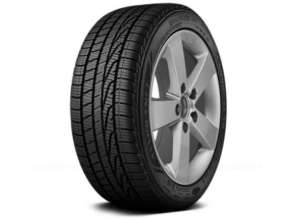 225/60R17 WEATHERREADY 99H :CH