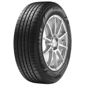 225/55R19 ASSURANCE MAXLIFE 99V :CH